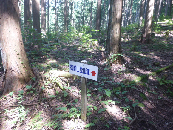 d0170615_189345.jpg