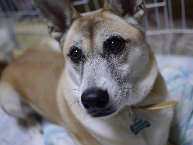 f0282319_1825290.jpg