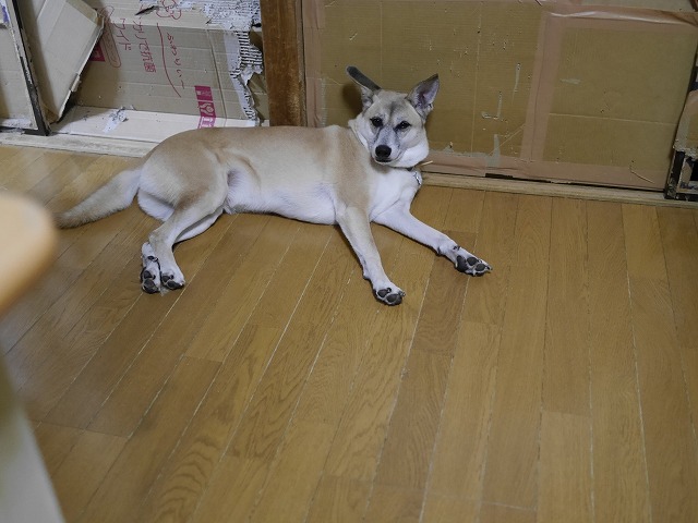 f0282319_182929.jpg