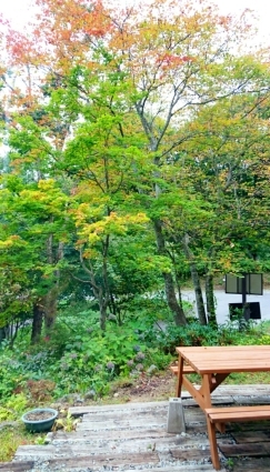 c0229025_14233423.jpg
