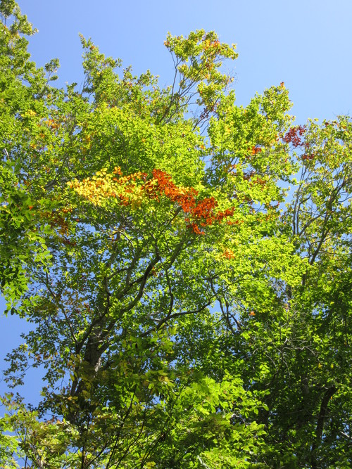 a0248728_001631.jpg