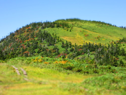 a0248728_0151255.jpg