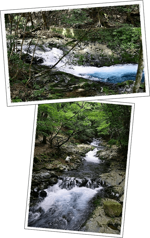 d0179828_08481463.png