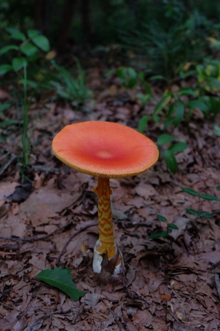 b0281732_8495488.jpg