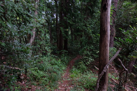 b0281732_8504752.jpg