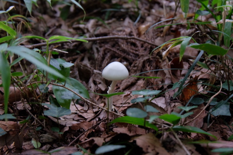 b0281732_851536.jpg