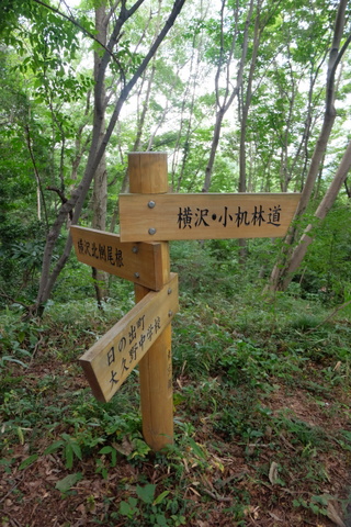 b0281732_8521881.jpg