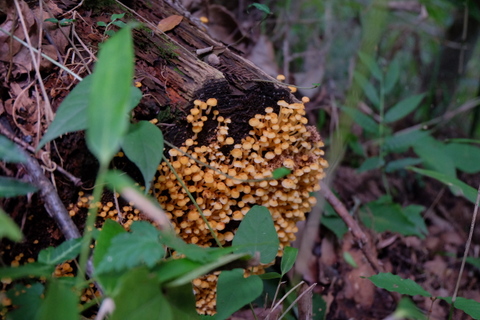 b0281732_8522873.jpg