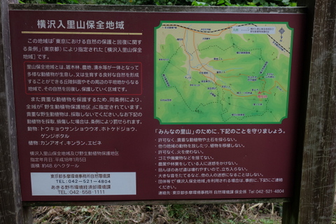 b0281732_8524528.jpg
