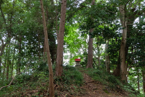 b0281732_854158.jpg