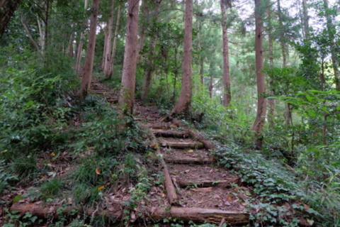 b0281732_8542178.jpg