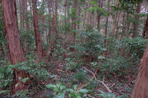 b0281732_8545089.jpg