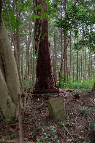 b0281732_8545949.jpg