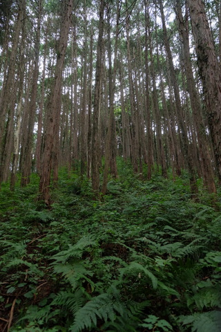 b0281732_855872.jpg