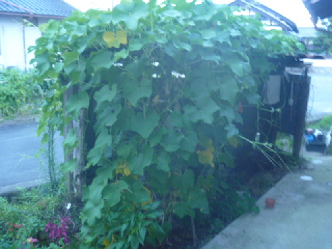 b0246036_14462150.jpg