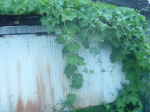 b0246036_14474790.jpg