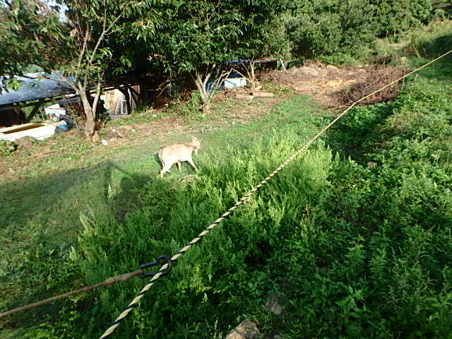 c0183137_18364879.jpg