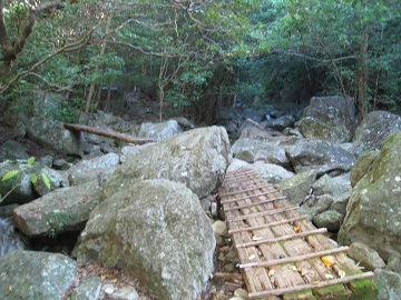 c0077338_5425141.jpg