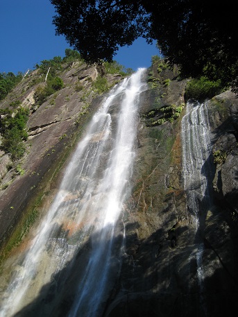 c0077338_543513.jpg