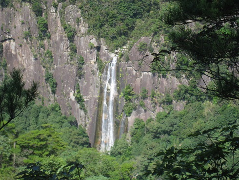 c0077338_5442155.jpg