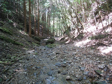 c0077338_5445596.jpg