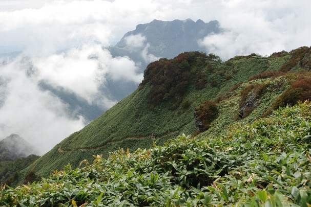 b0149340_2011936.jpg