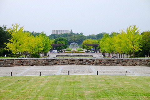 e0088260_20522809.jpg