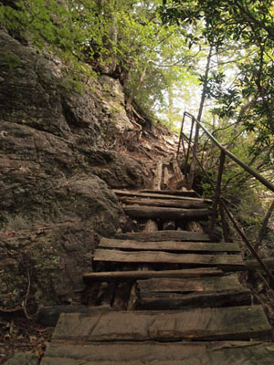 c0011862_19533613.jpg
