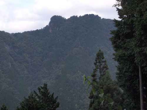 c0011862_208107.jpg