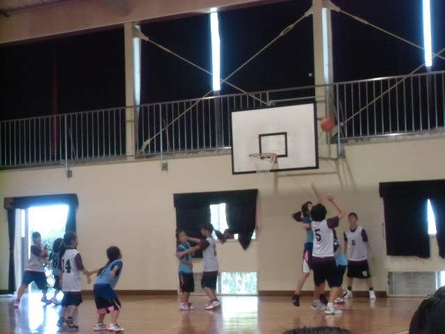 a0319565_851432.jpg