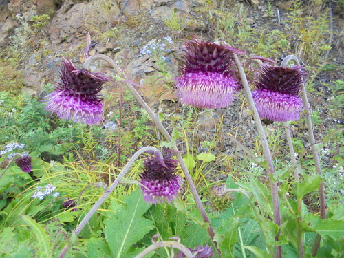 c0144868_23221982.jpg