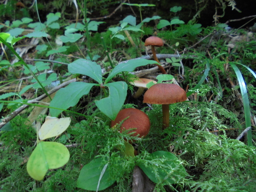 c0144868_23265327.jpg