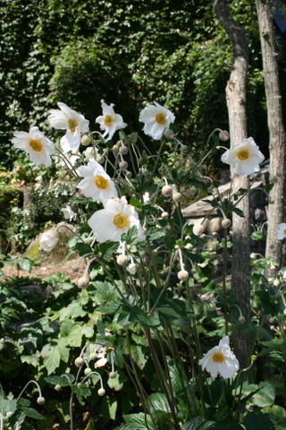c0248269_09052174.jpg