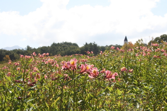 c0248269_09144643.jpg