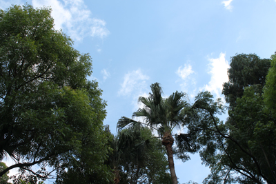 c0117570_1362576.jpg