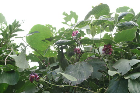 e0292172_20292623.jpg