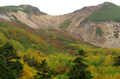 f0182173_1720148.jpg