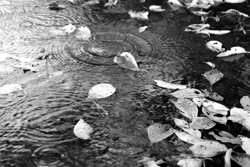 c0319774_13590079.jpg