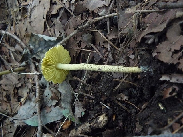 d0019074_55559.jpg