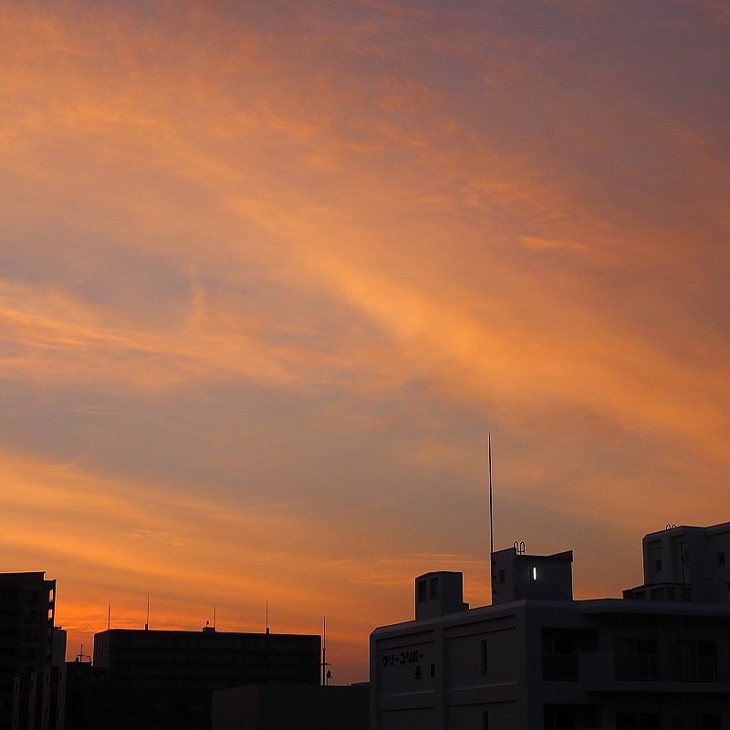 c0183777_7361694.jpg