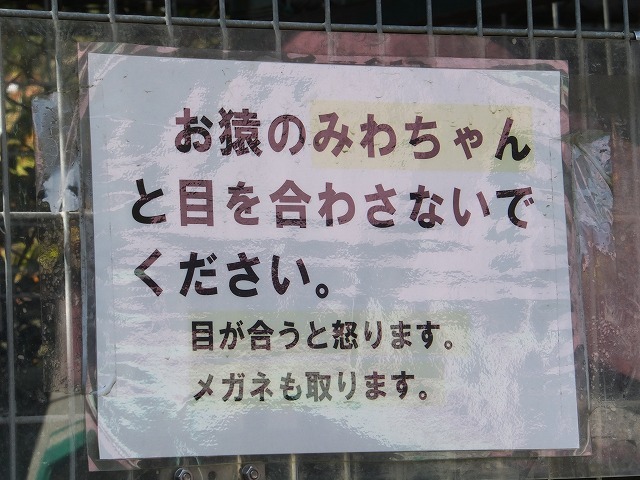 d0335878_02504524.jpg