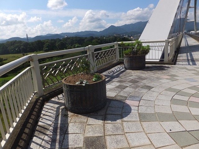 d0335878_03343350.jpg