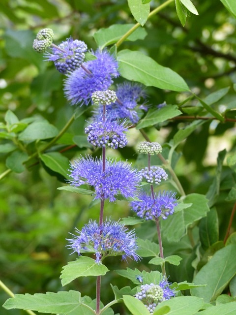 f0357487_2347019.jpg
