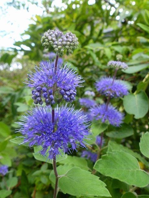 f0357487_23471419.jpg
