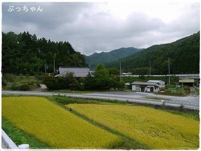 f0353990_16012754.jpg