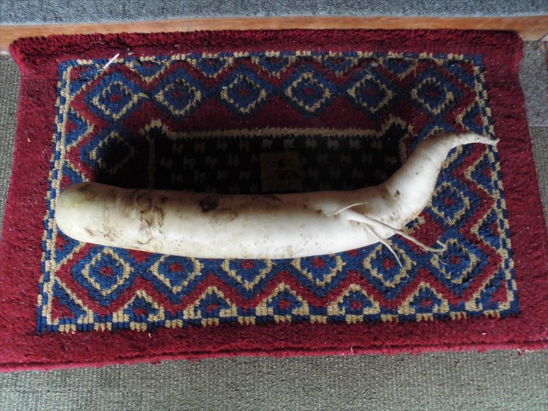 c0108198_15575675.jpg