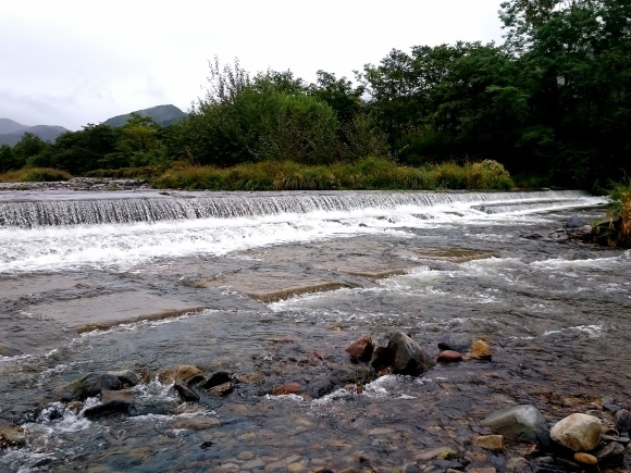f0266202_23511325.jpg
