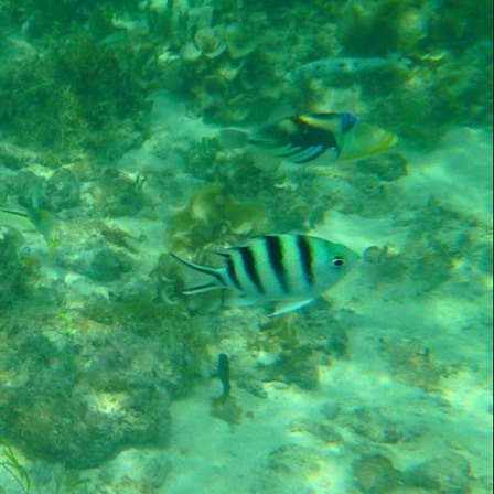 f0162908_22230502.png