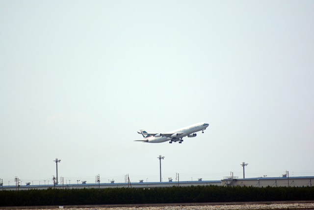 f0046614_14251987.jpg