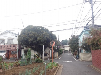 d0182119_2025891.jpg